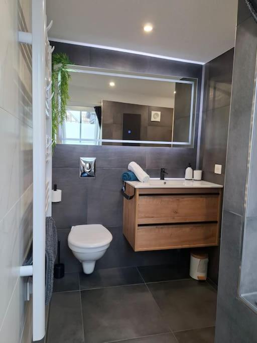 Bel Appartement, Sélestat Dış mekan fotoğraf