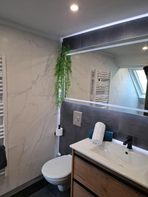 Bel Appartement, Sélestat Dış mekan fotoğraf